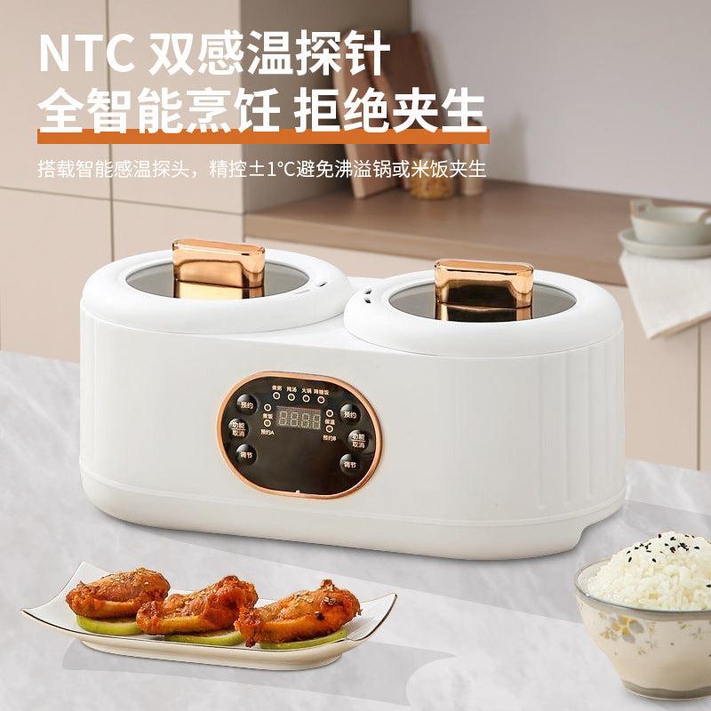 Cuiseur à riz à double chambre, marmite électrique multifonctionnelle à double commande pour canard mandarin, cuiseur à riz électrique, cuiseur électrique à double chambre.
