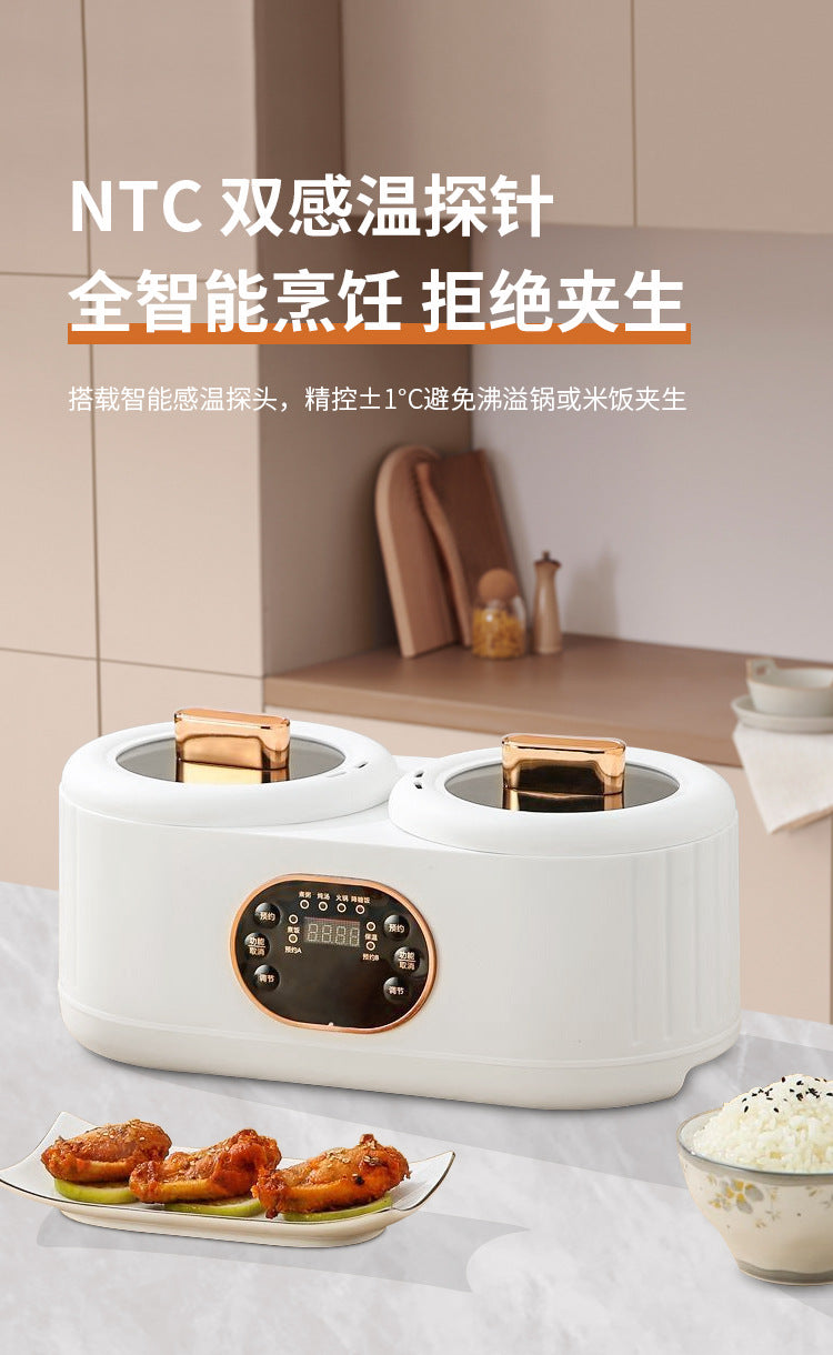 Cuiseur à riz à double chambre, marmite électrique multifonctionnelle à double commande pour canard mandarin, cuiseur à riz électrique, cuiseur électrique à double chambre. 