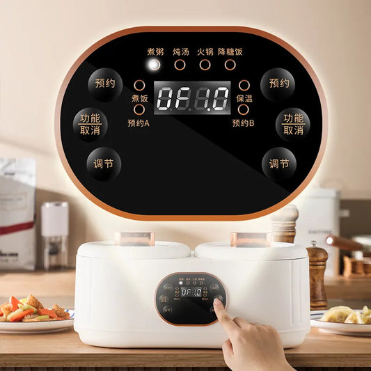 Cuiseur à riz à double chambre, marmite électrique multifonctionnelle à double commande pour canard mandarin, cuiseur à riz électrique, cuiseur électrique à double chambre. 